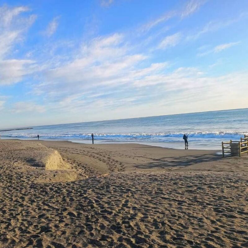 海岸の海釣り